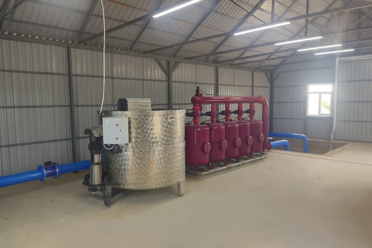 Xaçmaz 22Ha qarışıq meyvə bağı 2